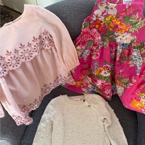 GAP Baby Pink Embroidered Dress